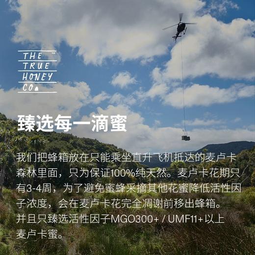 【初蜜蔻×第15届上海双年展】 MGO500+/UMF15+麦卢卡蜂蜜限定装 商品图4