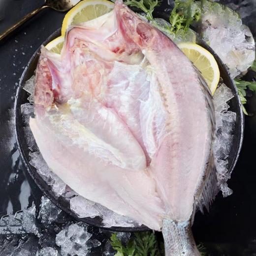 北海湾开背鲈鱼 商品图1