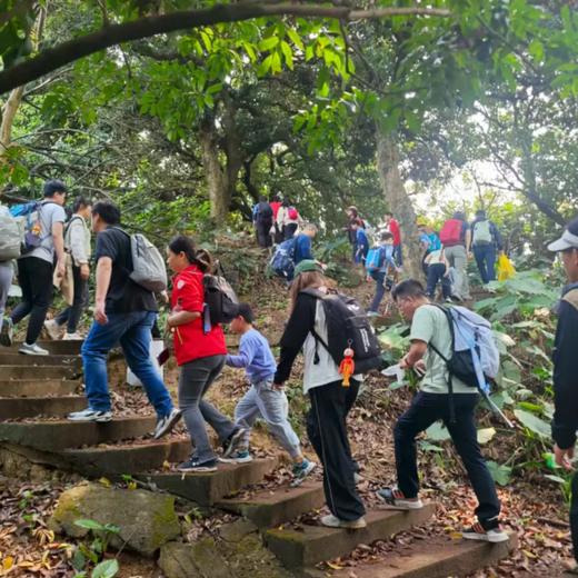 12月20/21日 黄埔· 水晶寻宝记亲子1日| 亲子徒步山林寻找天然“水晶”，DIY小夜灯,有氧又有趣的户外运动，走起！ 商品图1