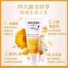 【618抢先购】效期【2027-09-01】德国护臀膏75mlWELEDA金盏花维蕾德婴儿新生儿红屁屁   0525 商品缩略图3