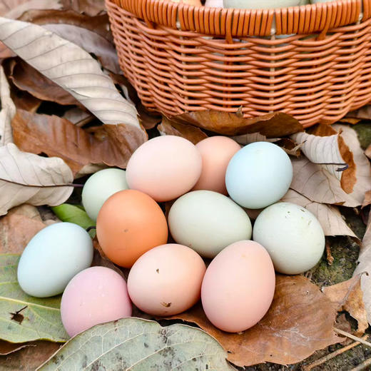 【下单送胡胖厨泡菜1袋】丹江口农家散养土鸡蛋 60枚 （十堰主城区包邮） 商品图0