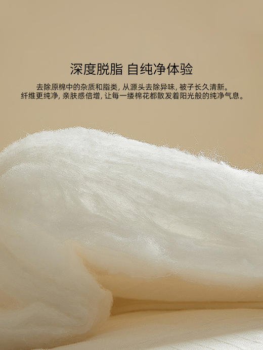 佳丽斯棉被冬加厚100纯棉新疆棉花被芯棉絮被子被褥冬用2025新款 商品图2