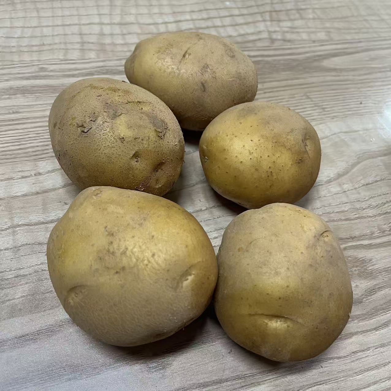 丨有机丨 内蒙高原土豆 5斤/箱