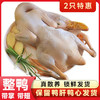 热卖中！！顺丰发货！【CCTV采访 真助农真品质】狼牙山农家散养生态珍禽（鸡鸭鹅）现宰现杀 商品缩略图2