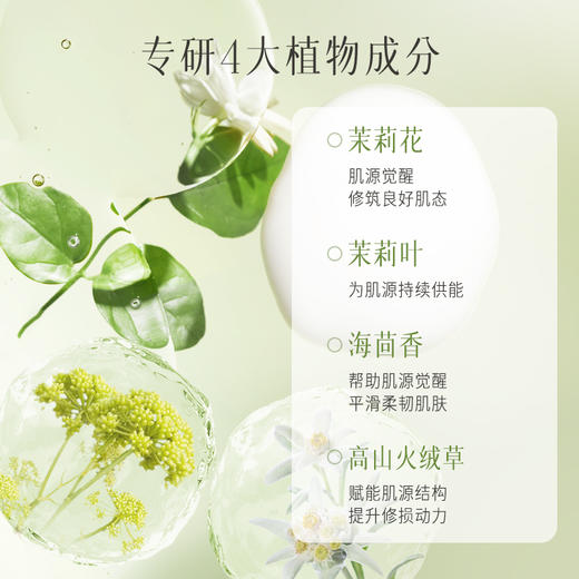 【分销供货】逐本不染第二代玉肌 茉莉白茶水乳水120ml+乳100ml 商品图3