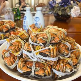 秋季限定美味必须得是阳澄湖大闸蟹🦀【阳澄之岛阳澄湖大闸蟹】活蟹现发,鲜甜醇香,入口难忘💥没有泥腥味！口感丰腴