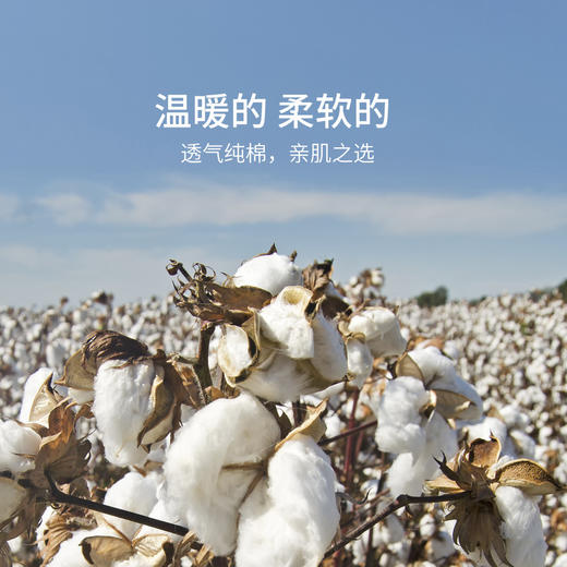 【高腰收腹柔软自触❗️弹力贴身拒绝勒肉】学生纯棉秋裤女内穿薄款春秋保暖裤高腰女士新款修身。hc 商品图3