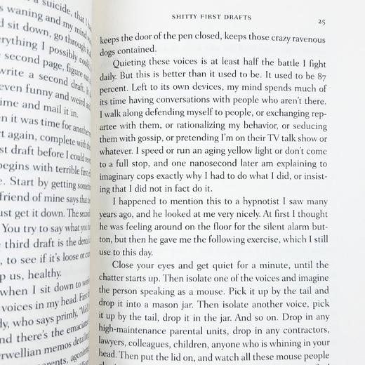 写作课 一只鸟接着一只鸟写就对了 英文原版 Bird by Bird 写作与生活指南 英文版进口原版英语书籍 Anne Lamott 商品图2