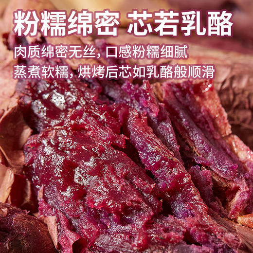 【生鲜】可烤的紫薯 香甜粉糯 整箱发货 软糯绵密 无筋无丝 已糖化甜度高 收到后可直接烤制 云南高原红土地生长 农残检测 商品图1