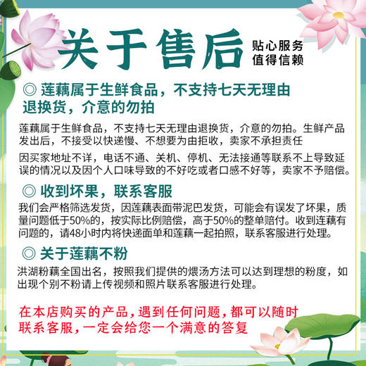 【不粉包赔❗️正宗洪湖煲汤粉藕】现挖现发，鲜嫩多汁，节节饱满，好品质，藕香四溢！丰收季青泥巴面藕现挖现发华贵-d 商品图3