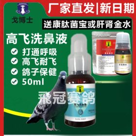 戈博士【高飞洗鼻液】50ml赛信鸽子用品滴鼻液高飞耐飞畅通呼吸