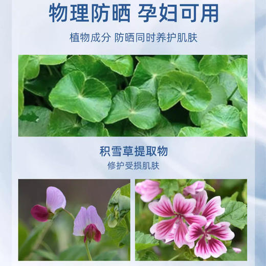 【跨境-折扣】日本FANCL芳珂防晒霜60ml 新版 高倍隔离防晒乳清爽不油腻敏感肌可用SPF50+ PA+++（效期到28年随机发） 商品图6