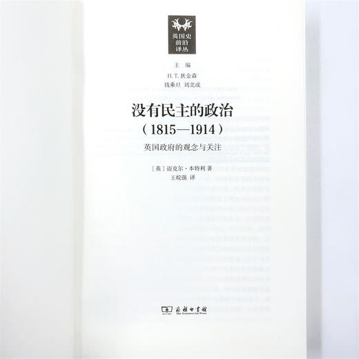没有民主的政治(1815-1914)：英国政府的观念与关注(英国史前沿译丛) 商品图6