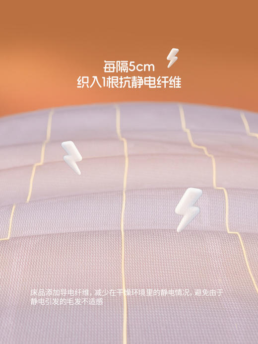 佳丽斯牛奶绒四件套双面珊瑚绒加厚床单2025新款保暖被套床上用品 商品图5