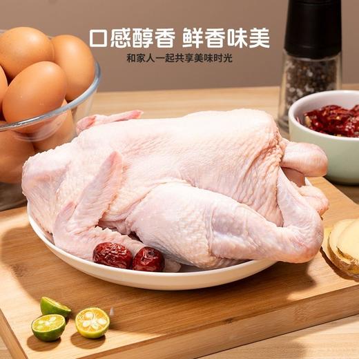 热卖中！！顺丰发货！【CCTV采访 真助农真品质】狼牙山农家散养生态珍禽（鸡鸭鹅）现宰现杀 商品图4