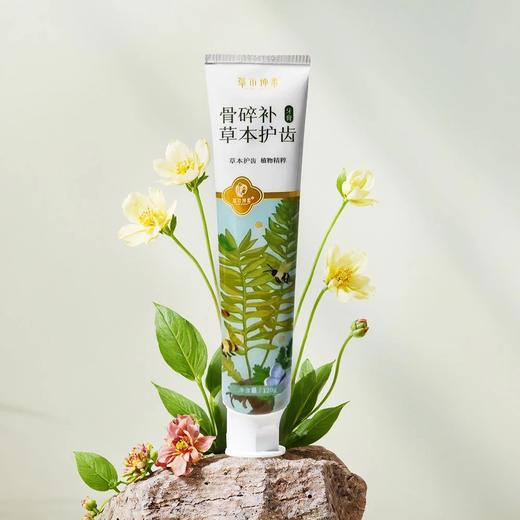 骨碎补草本护齿牙膏 商品图0