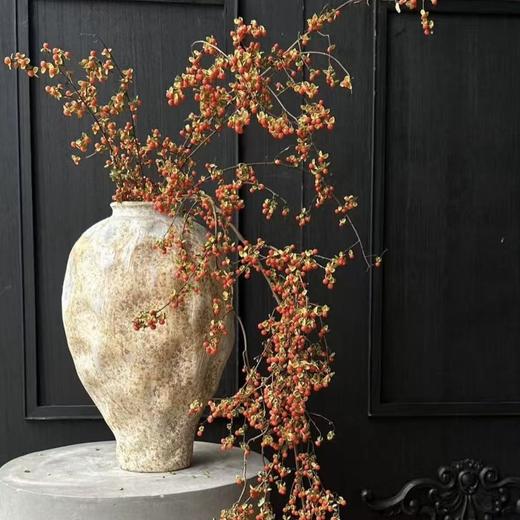 南蛇藤丨配果 商品图2