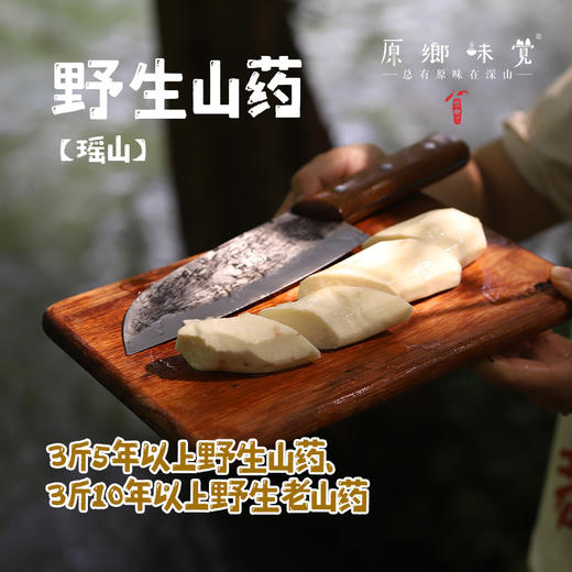 【野生挖采，需等】野生新鲜山药（基地直发—京东特快） | 3斤装，来自粤北深山，采挖者：张运东【合作生产，公平贸易】 商品图0