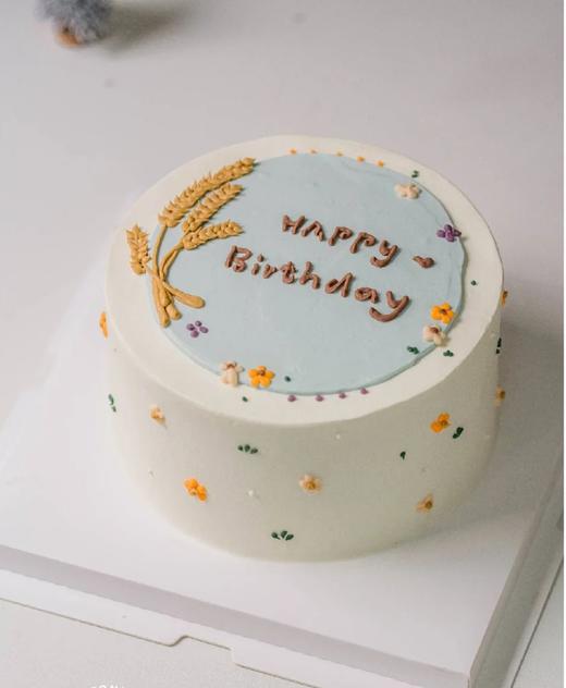 多款式~秋天的颜色~手绘写字款蛋糕-低糖处理无添加 商品图2