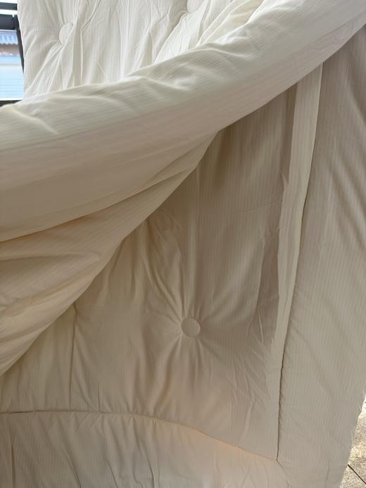 G649 纯原一波cozye@rth 6斤大豆棉棉被 商品图4