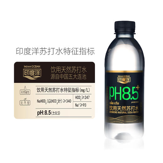 印度洋天然苏打水400ml*24（整箱装） 商品图3