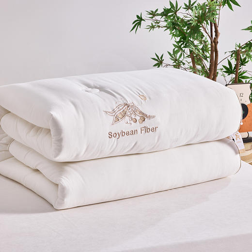 多喜爱 植蕴大豆亲肤被/加厚冬被/拉链子母被【大豆纤维】【全棉提花面料】【科学配比】【柔软舒适】多款厚度 精美绗缝 绣花&K线工艺 商品图5