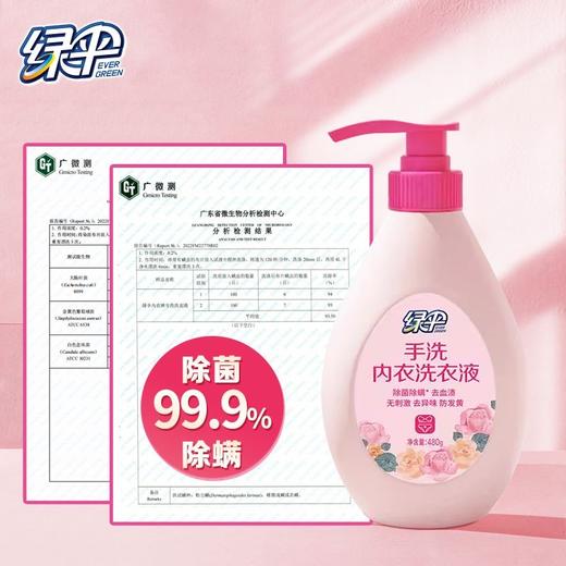 绿伞手洗内衣裤专用洗衣液480g男女通用内衣洗清洗液除菌 商品图4