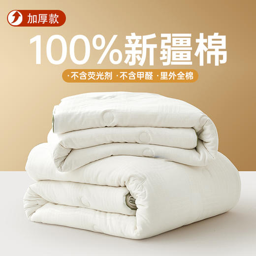 新疆生态棉花被 商品图0