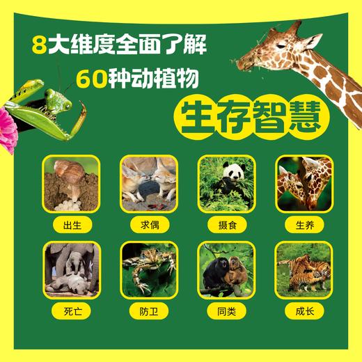 [园艺植物9册]《真实的大自然》2025新版(AY) 商品图3