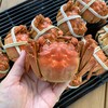 秋季限定美味必须得是阳澄湖大闸蟹🦀【阳澄之岛阳澄湖大闸蟹】活蟹现发,鲜甜醇香,入口难忘💥没有泥腥味！口感丰腴 商品缩略图3