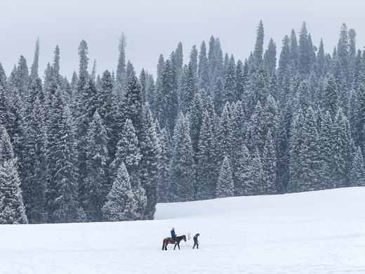 伊犁冬韵 | 雪原森林木屋 新疆赛里木湖 越野车轻旅拍小团 7日 商品图0