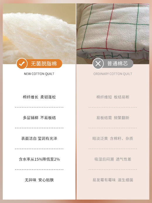 佳丽斯棉被冬加厚100纯棉新疆棉花被芯棉絮被子被褥冬用2025新款 商品图3