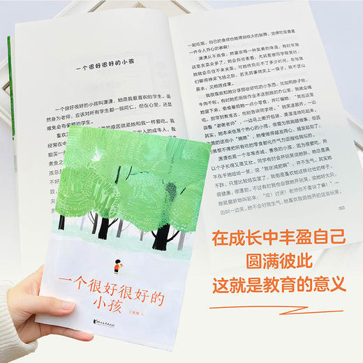 一个很好很好的小孩（（班主任给新手爸妈们的“小学生攻略”，上小学需要做好哪些准备？如何与班主任沟通？......看王老师如何处理学习、人际交往等问题，促进家校沟通，助力家长更好应对孩子小学阶段）） 商品图5