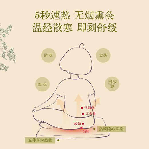 【前100名赠玫瑰灸贴🎁】灵芝南沙参热敷垫加热坐垫送礼好物（会员福利价） 商品图1