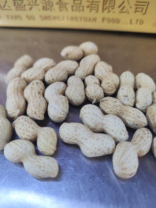 陈皮味花生 颗粒饱满匀称 壳薄味香  香脆可口 商品图3