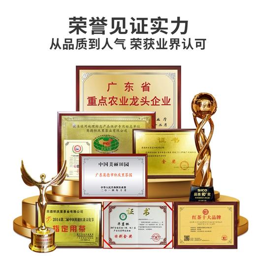 【99元3罐】积庆里英红九号英德红茶广东正宗一级红条茶浓香型工夫红茶茶旅小罐50g 商品图4