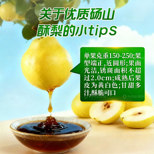 砀山纯梨膏 【买2送1】秋梨膏 纯梨膏 12g*10袋独立包装儿童宝宝正宗秋梨膏 商品图2