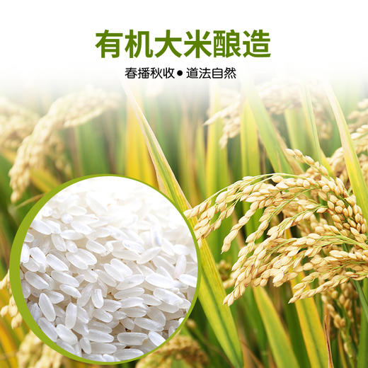 珠江桥牌 有机9度米醋500ml 商品图1