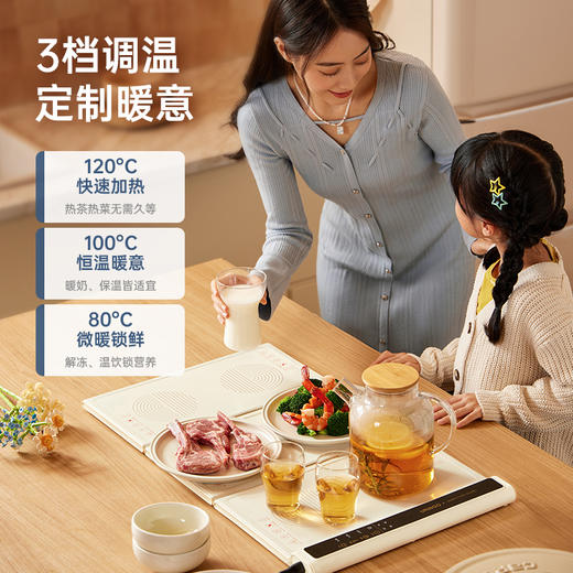 七彩叮当拼接暖菜热菜保温板加热保温暖菜桌垫 商品图3