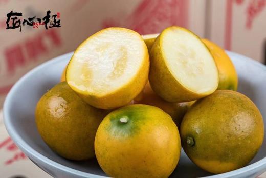 【会员43.5/斤】广西融安脆蜜金柑 特级大果 单果30g 独立包装 商品图0