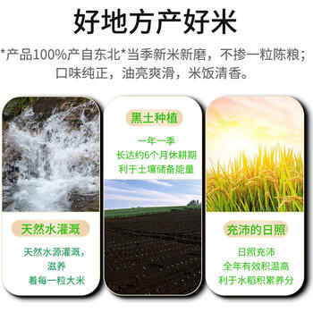 七河源长粒粳米50斤长粒香米25kg 家庭餐饮批发囤货一级粳米 2025年新米 商品图3