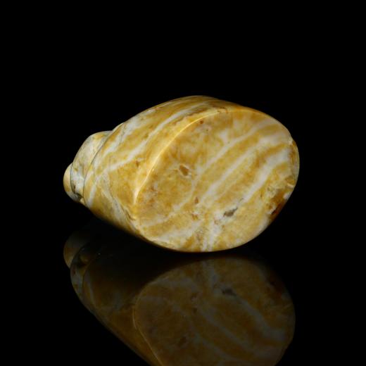 孤品017406昌化石貔貅钮大随形5.0*3.5*6.0cm 商品图4