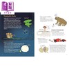 【中商原版】蘑菇公司 Mushrooms and Company 英文原版 儿童科普绘本 讲述一个奇妙的霉菌网络如何支撑地球上的生命 进口童书 商品缩略图4