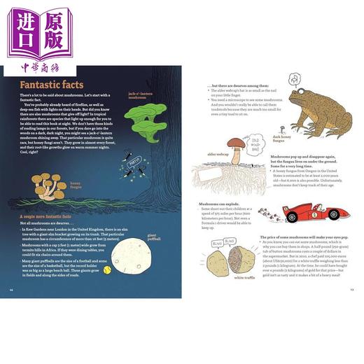 【中商原版】蘑菇公司 Mushrooms and Company 英文原版 儿童科普绘本 讲述一个奇妙的霉菌网络如何支撑地球上的生命 进口童书 商品图4