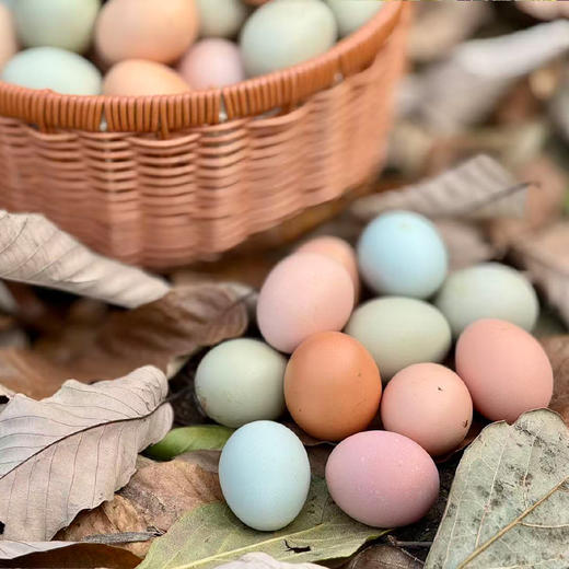 【下单送胡胖厨泡菜1袋】丹江口农家散养土鸡蛋 60枚 （十堰主城区包邮） 商品图2