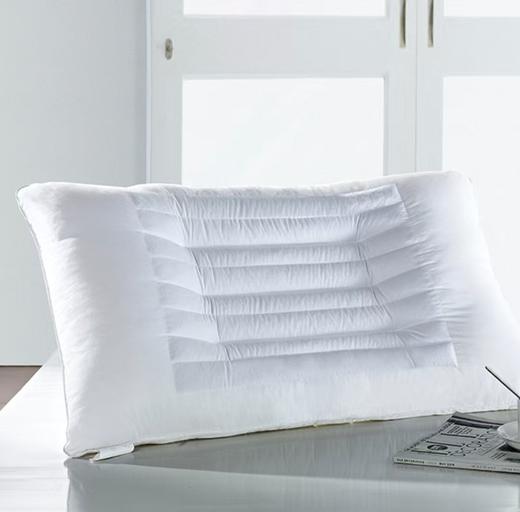 6F堂皇 独家周年庆提前购   决明子草本呵护枕40x60cm 售完即止不补货 商品图0