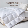 多喜爱 金羽朵95进口白鹅绒冬被酥白 【波兰进口白鹅绒】【95%绒子含量】【1000+清洁度】【80支全棉面料】【3D航空舱设计】【高档皮包】三重锁绒工艺  A类品质标准 10cm检测口 商品缩略图2