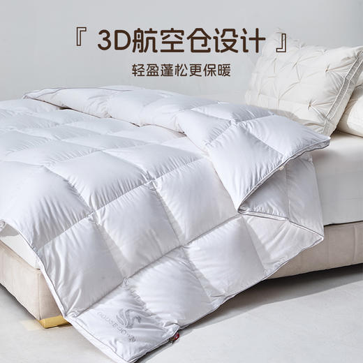 多喜爱 金羽朵95进口白鹅绒冬被酥白 【波兰进口白鹅绒】【95%绒子含量】【1000+清洁度】【80支全棉面料】【3D航空舱设计】【高档皮包】三重锁绒工艺  A类品质标准 10cm检测口 商品图2