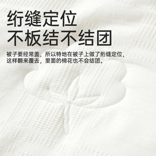新疆生态棉花被 商品图5
