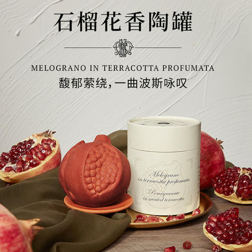 品牌直发 Santa Maria Novella 圣塔玛利亚诺维拉 石榴花香陶罐 190g 商品图1
